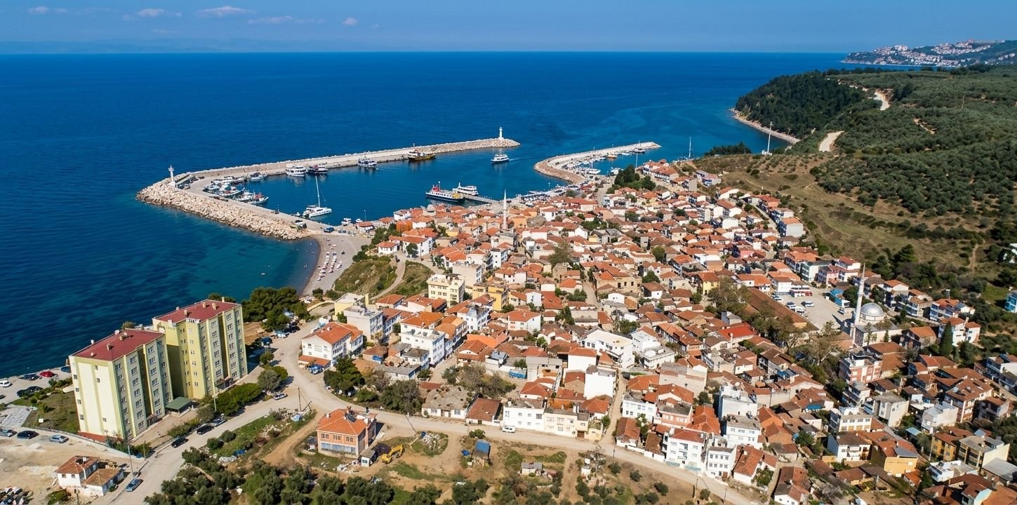 trilye zeytinbagi