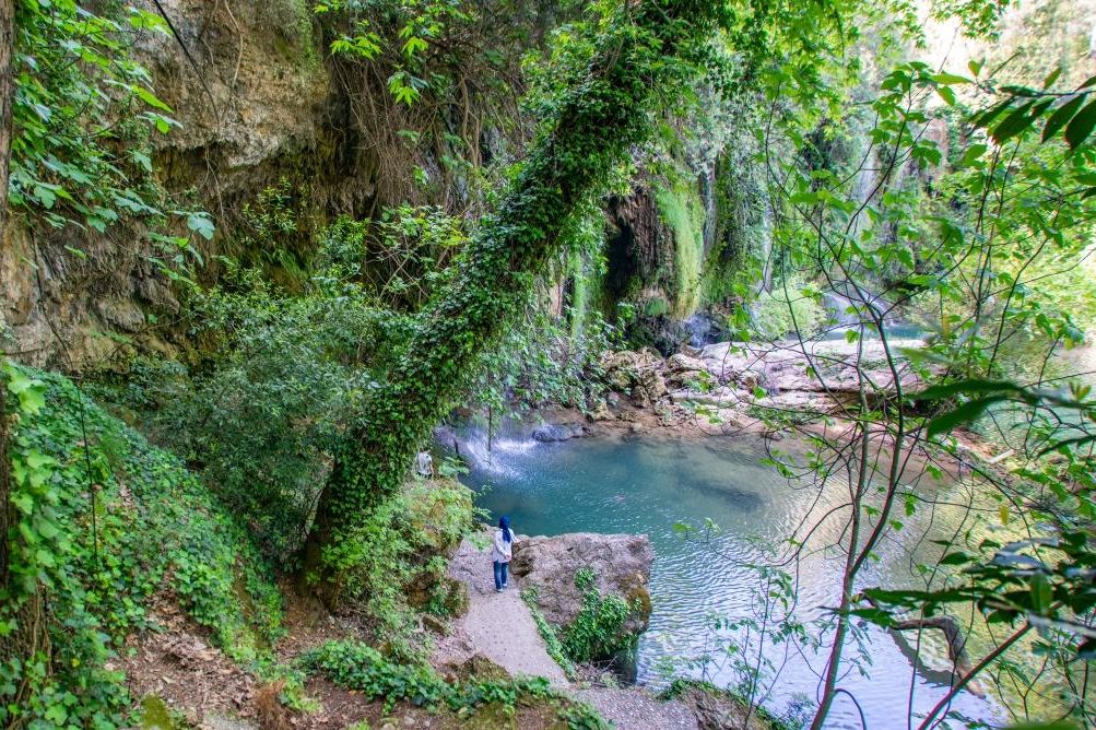 Kurşunlu Şelalesi, Antalya bölgesinin bitki zenginliği yönünden en dikkat çekici olanı
